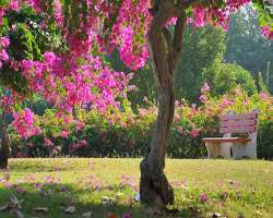 The garden is a perfect getaway from your day-to-day life tension when you spend your weekend in the lap of mother nature The garden is a perfect getaway from your day-to-day life tension when you spend your weekend in the lap of mother nature.